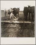 West Texas tenant farmer's wife. She has worked on this land with him for twenty years