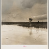 This year (1937) there are floods and heavy rains in the Dust Bowl. Texas