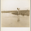 This year (1937) there are floods and heavy rains in the Dust Bowl. Texas