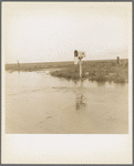 This year (1937) there are floods and heavy rains in the Dust Bowl. Texas