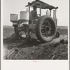 Tractor and operator. Navarro, Texas