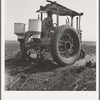 Tractor and operator. Navarro, Texas