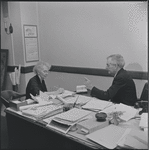 Day with an executive