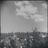 Man at scenic overlook