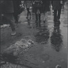 Winter street scene. New York, NY