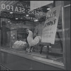 Restaurant window. New York, NY