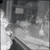 Children looking at pet store window. New York, NY