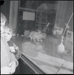 Children looking at pet store window. New York, NY