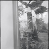 Woman playing the piano, seen through a glass window
