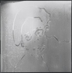 Drawing on frosted window. New York, NY