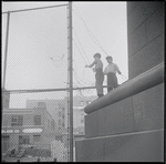 Two boys playing with a barbed wire fence. New York, NY