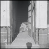 Two boys sitting in stairway. New York, NY