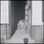 Two boys sitting in stairway. New York, NY