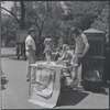 Central Park. New York, NY