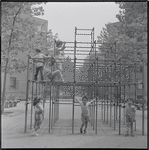 Children playing on monkey bars. New York, NY