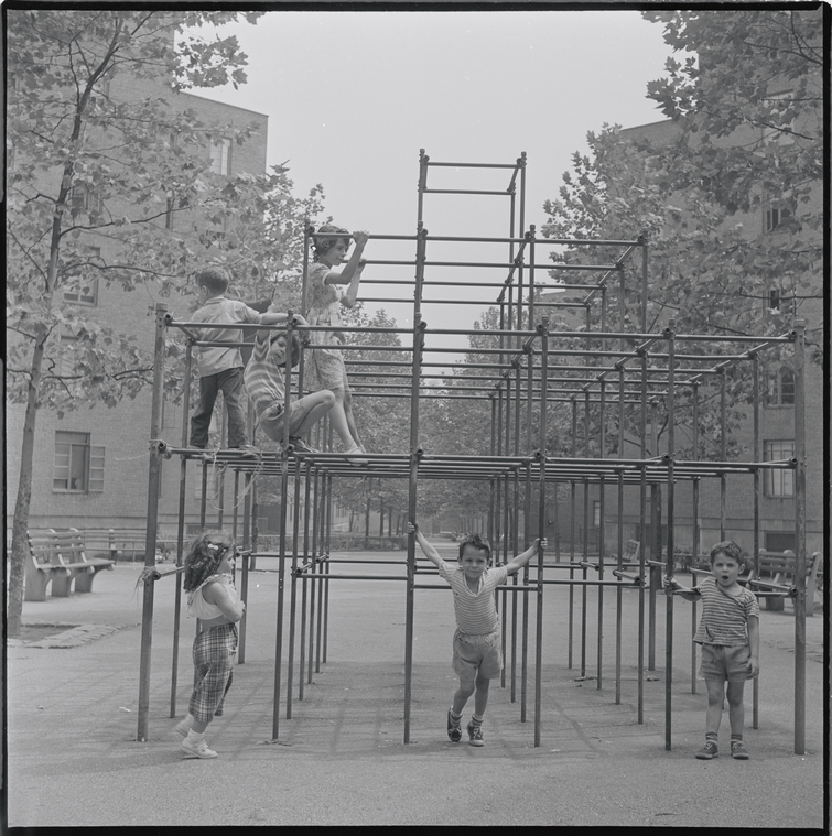 children hanging on jungle gym