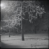 Snow-covered park at night. New York, NY