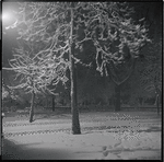 Snow-covered park at night. New York, NY