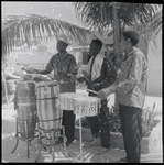 Musicians