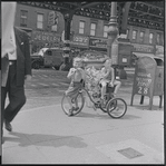 Boys on tricycle. New York, NY