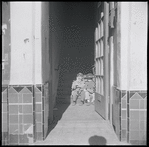 Two boys sitting in stairway. New York, NY