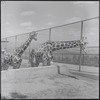Zoo