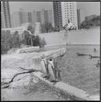 Aquarium