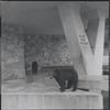 Zoo