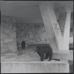 Zoo