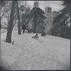 Sledding in Central Park. New York, NY