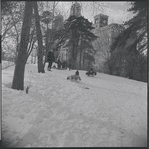 Sledding in Central Park. New York, NY
