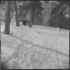 Sledding in Central Park. New York, NY