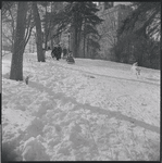 Sledding in Central Park. New York, NY