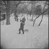 Sledding in Central Park. New York, NY