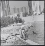 Aquarium