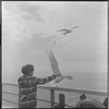 Boy feeding seagulls