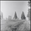 Cemetery