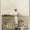 Sharecropper of the Mississippi Delta. Issaquena County, Mississippi