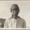 Old Negro. He hoes, picks cotton and is full of good humor. Aldridge Plantation, Mississippi