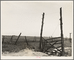 Carter County, Oklahoma. Abandoned land, exhausted soil
