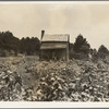 Sharecropper's cabin, cotton and corn, near Jackson, Mississippi