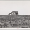 Cotton sharecropper farm, Texas