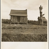 Plantation cabin of sharecropper. Washington County, Mississippi