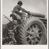 Tractor driver. Aldridge Plantation, [near Leland] Mississippi