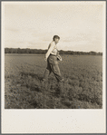 Tenant farmer spreading grasshopper bait in his alfalfa field, five miles from Oklahoma City, Oklahoma