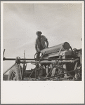 Negro tractor driver. Aldridge Plantation, [near Leland] Mississippi