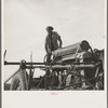Negro tractor driver. Aldridge Plantation, [near Leland] Mississippi