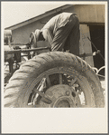 The tractor driver is colored. His wages when he works is one dollar and fifty cents a day as long as there is daylight. Aldridge Plantation, [near Leland] Mississippi