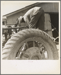 The tractor driver is colored. His wages when he works is one dollar and fifty cents a day as long as there is daylight. Aldridge Plantation, [near Leland] Mississippi