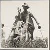 Day laborer near Oil City, Oklahoma. Carter County, Oklahoma